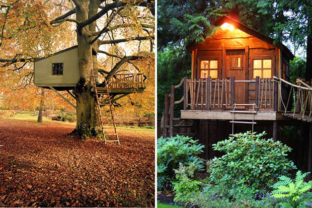 Компания Amazon Tree Houses создает удивительные уютные дома высоко над землей (15 фото - 1,74.Mb)
