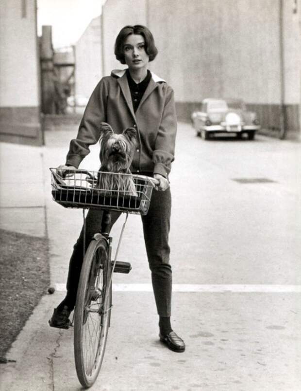Одри Хепберн, йоркширский терьер Мистер Знаменитость. Фото / Audrey Hepburn, Yorkshire terrier Mr. Famous. Photo 