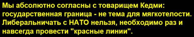 Россия уничтожит военные корабли НАТО в случае нарушения целостности границ - комментарий Якова Кедми