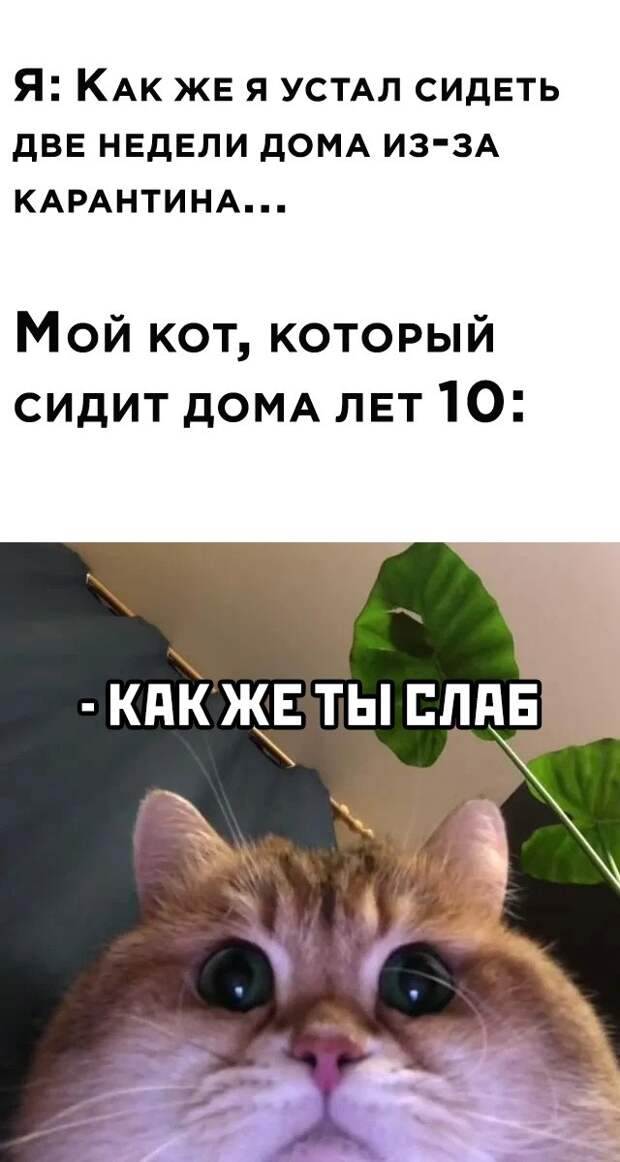 www.vsyako.net