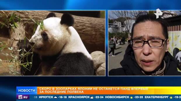 Спустя почти 50 лет единственные панды в Японии возвращаются в Китай