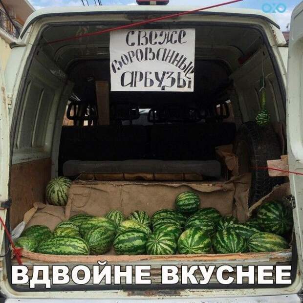 Смешные картинки (20 фото)