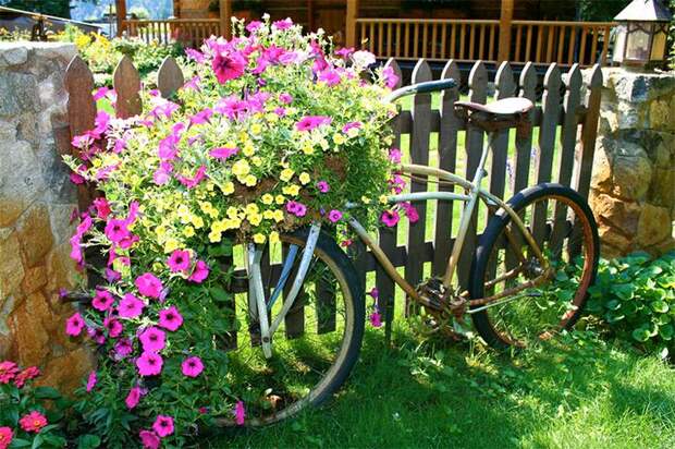 цветы и велосипед