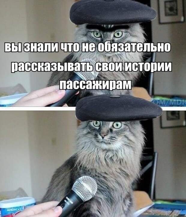 15. 15. авто, автоприколы, приколы