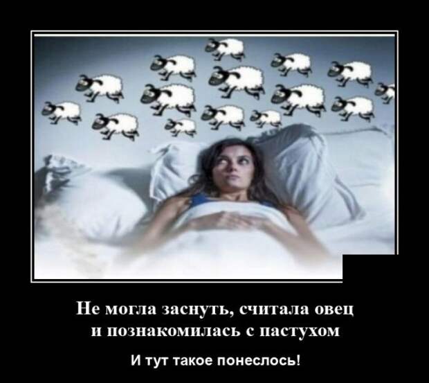 Демотиватор про овечек