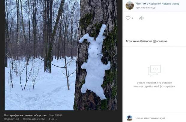 Фото дня: весенний заяц в Химкинском леспопарке