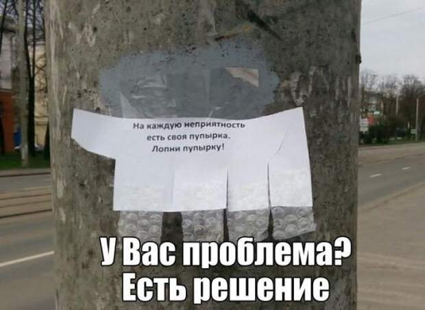 Картинки, юмор, приколы