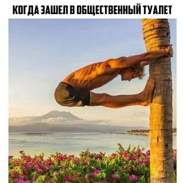 Картинки с надписями картинки, картинки с надписями, надписи, прикол, юмор