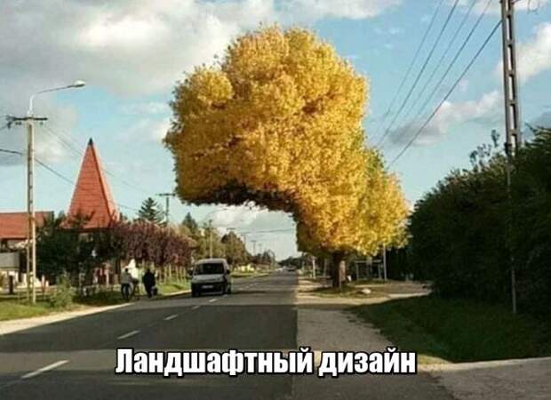 Подборка смешных фотографий и картинок с надписями (10 фото) Подборка смешных фотографий и картинок с надписями (10 фото)