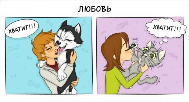 Как отличается жизнь с кошкой и жизнь с собакой 