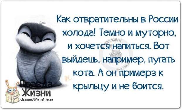 Как отвратительны в России холода!