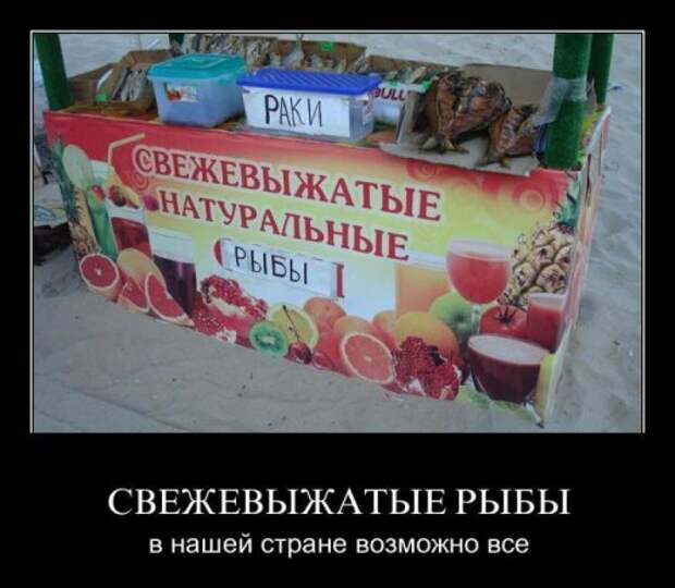 Прикольные демотиваторы (13 шт)