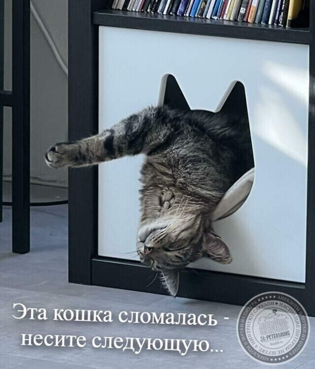 Кошка