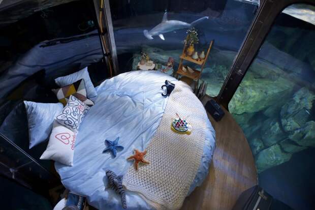 A view shows an underwater room structure installed in the Aquarium of Paris