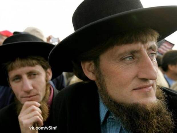 Амиши - представителей крайне консервативного христианского религиозного движения - носят бороды, но не носят усов.