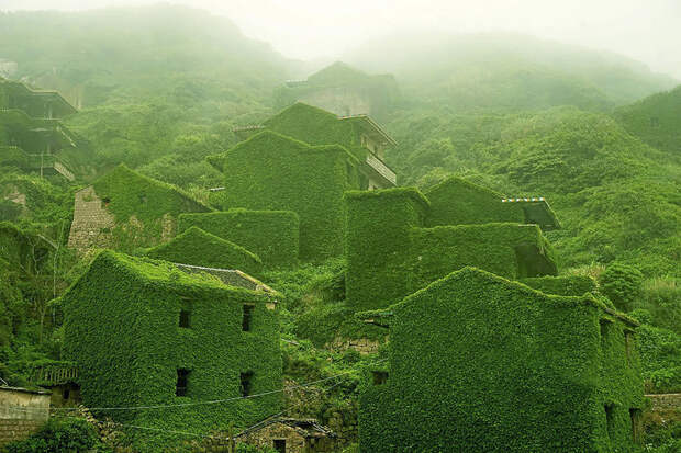 Китайскую деревню покинули люди, и уже через несколько лет ее почти полностью поглотила природа
