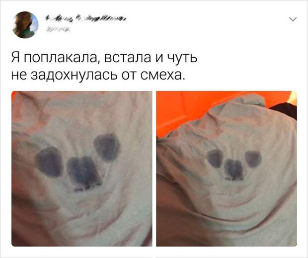 20 случаев, когда уровень самоиронии перешел все допустимые пределы