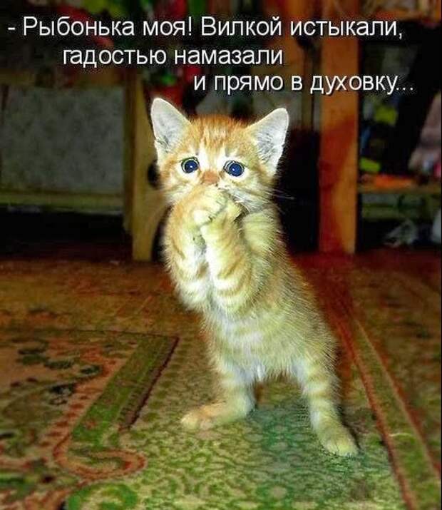 9ebaff701a13d731c598ebec1ac