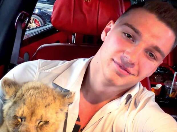 Гламурный блогер Дмитрий Котов разозлил публику, показав питомца — львенка