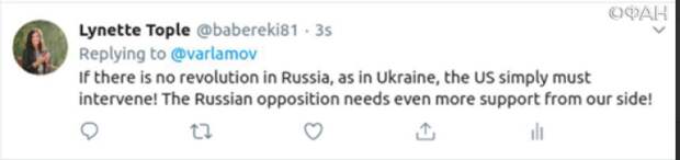 Иностранцы призвали США к вторжению в РФ на фоне незаконного митинга в Москве Иностранцы призвали США к вторжению в РФ на фоне незаконного митинга в Москве