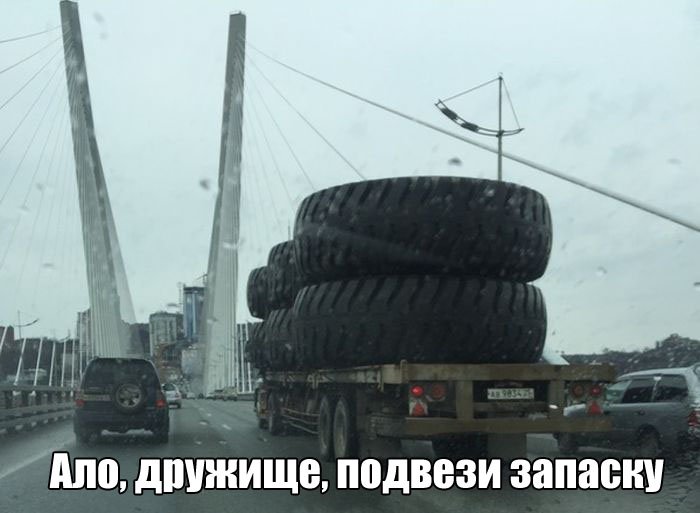 Прикольные картинки Прикольные картинки
