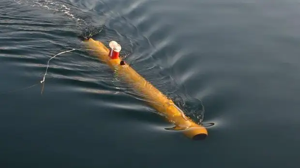 Эксперт рассказал о российских роботах «Амулет» и «Юнона»