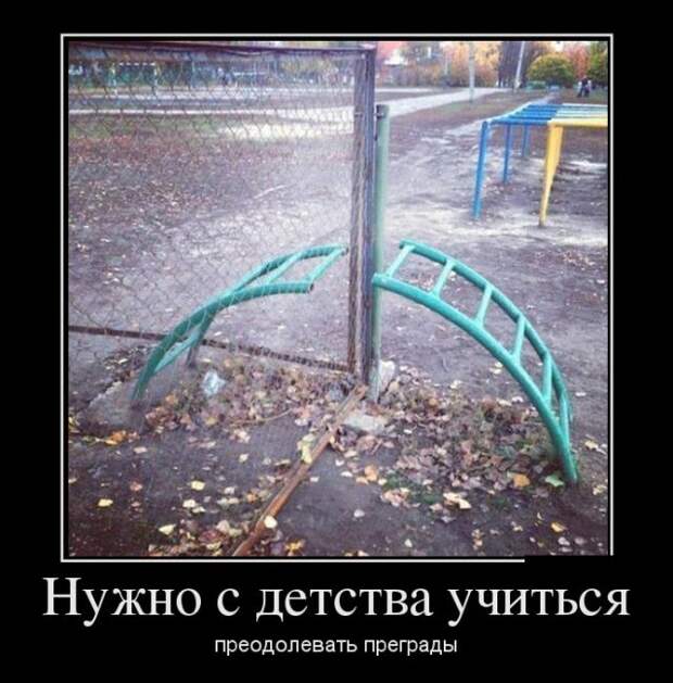 Забавные и прикольные демотиваторы для настроения (11 фото)