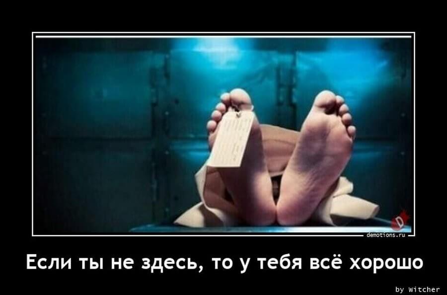 Пятничные демотиваторы: праздники, социум и живность
