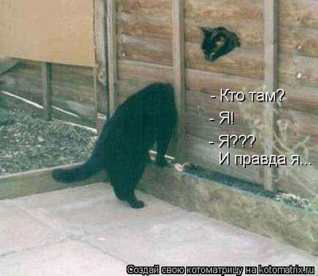 Мысли вслух :)