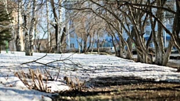 Потепление / Фото: Екатерина Смолихина / amic.ru