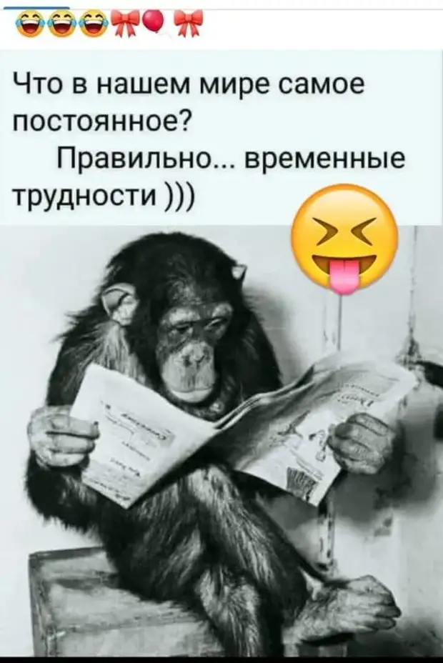 Синдром Золушки внезапен, жесток и беспощаден. Встала ночью водички попить, хотела вытереть пятно со стола и вымыла всю кухню... морозы, Доктор, галлюцинаций, звонит, полиция, страдаю, который, только, дворе, когда, прямо, собьют«Прерванный, половой, всегда, части, проезжей, Уйдите, плохо, особенно, доктор