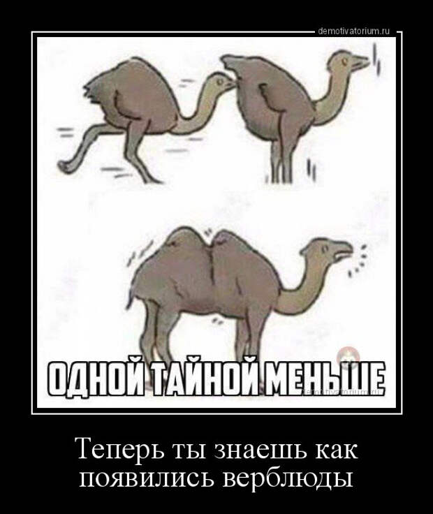 Прикольные демотиваторы для отличного настроения (21 фото)