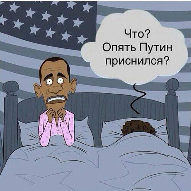Путин. Новые приколы интернета