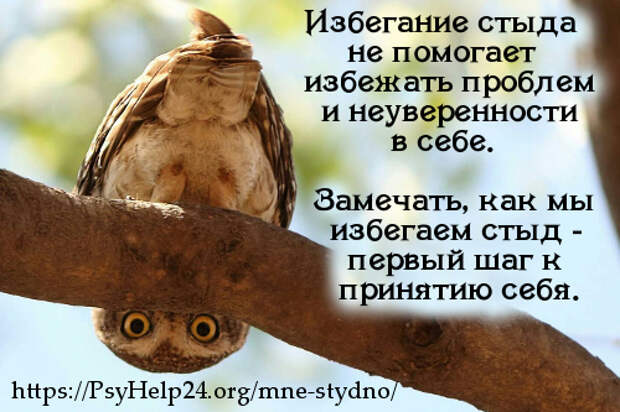 https://psyhelp24.org/wp-content/uploads/2017/08/mne-stydno-500.jpg https://psyhelp24.org/wp-content/uploads/2017/08/mne-stydno-500.jpg
