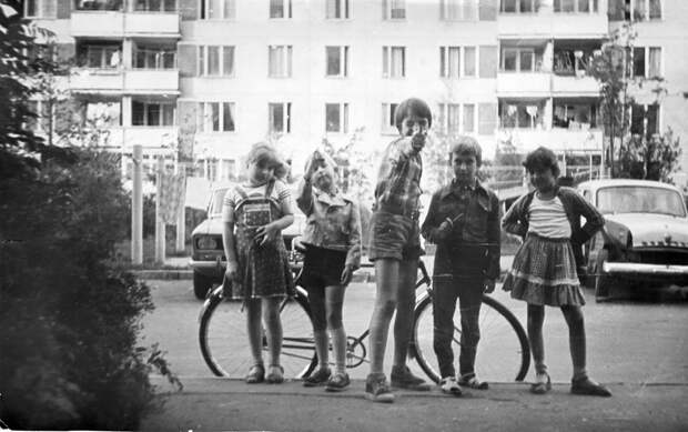 Дворы Красной сосны в 1981 году / Фото: pastvu.com
