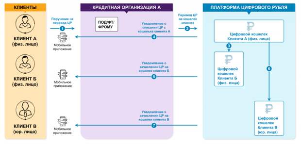 Цифровой рубль: деньги, что и вправду любят счёт
