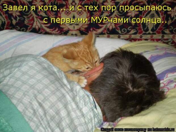 Котоматрицы(картинки с надписями)