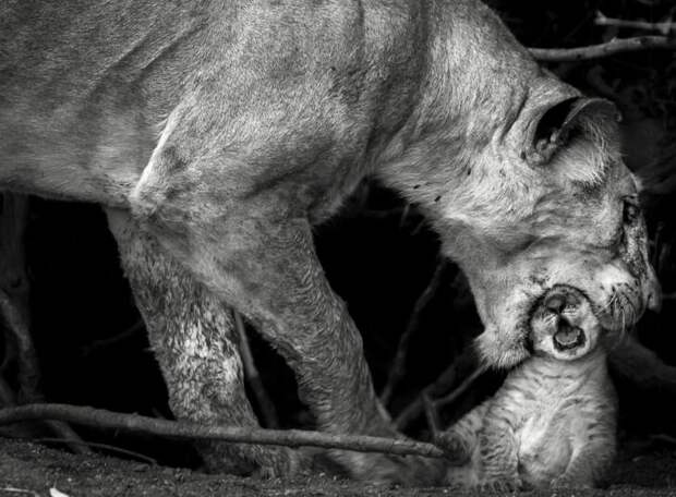 Sonalini Khetrapal / National Geographic