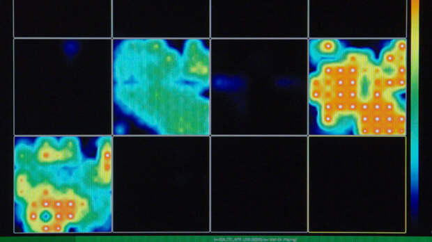 neuroscience brain organoid activity map by multi-electrode arrays