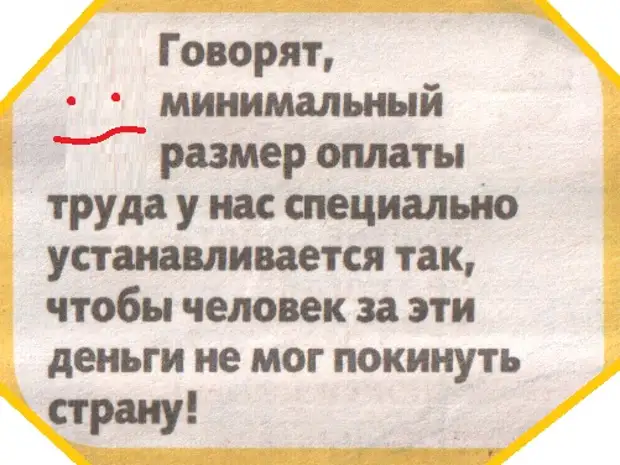 Скажи минимально. Коротко о Моем возрасте уже считаю бессмысленным вести здоровый. Коротко о Моем возрасте. В нашем возрасте бессмысленно вести здоровый образ жизни. Считаю бессмысленным.