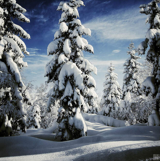 Gorgeous Winter Landscapes 12 Великолепные снежные пейзажи