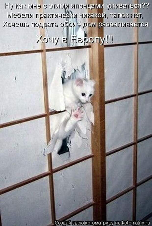 Мысли вслух :)