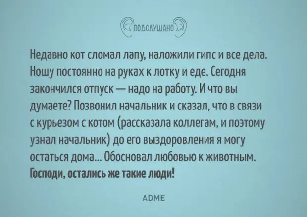 Сломанная лапка ожерелье диадема текст. Анекдот подслушивают