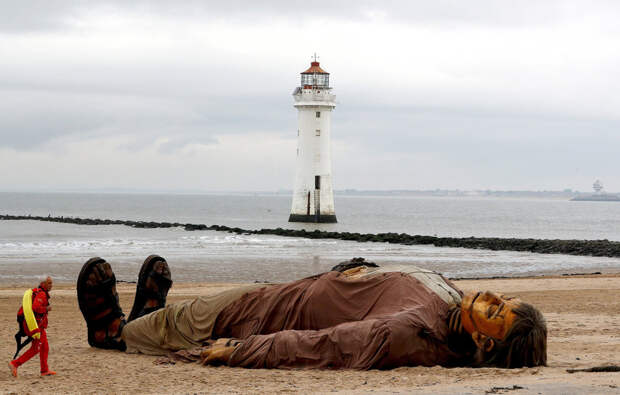 50 фотографий года от агентства Reuters, на которые стоит взглянуть дважды или трижды 18
