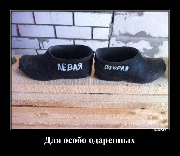 Демотиваторы