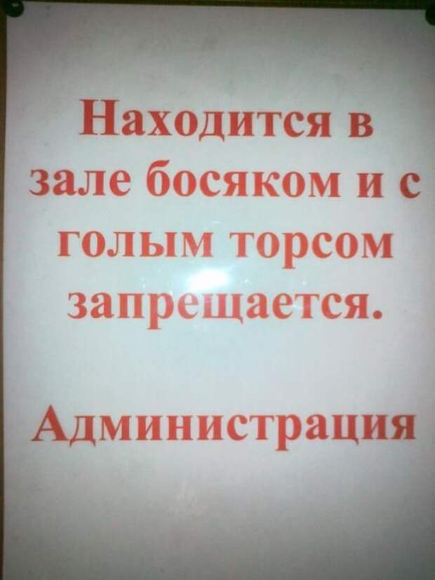 Прикольные картинки Прикольные картинки