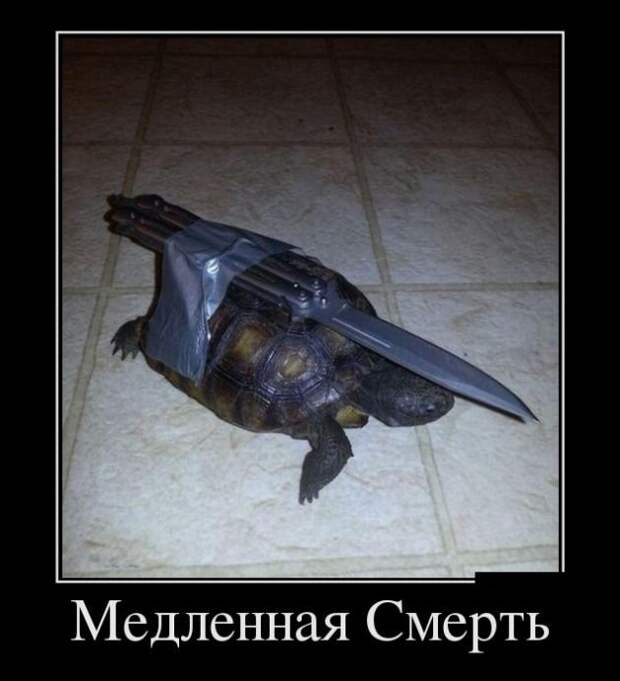 Демотиваторы (29.06.16) Демотиваторы (29.06.16)