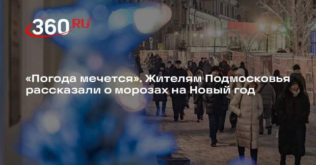 Метеоролог Позднякова: снегопадов в ночь на 1 января в Подмосковье не будет