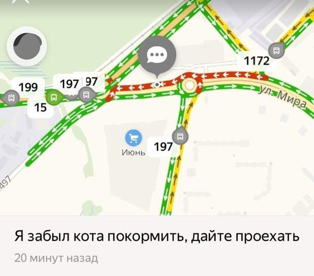 20+ котов-преступников, которых мы уже простили