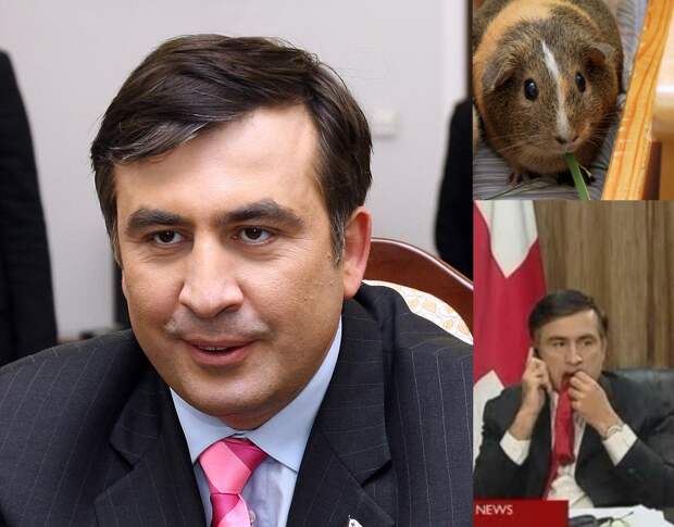 Пять политиков, похожих на животных